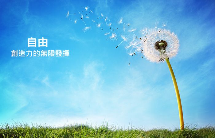 創惟科技 Genesys Logic